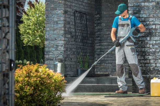 Best Sidewalk and Walkway Cleaning  in Elmo, TX