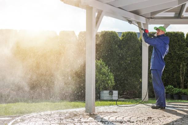 Best Building Exterior Washing  in Elmo, TX