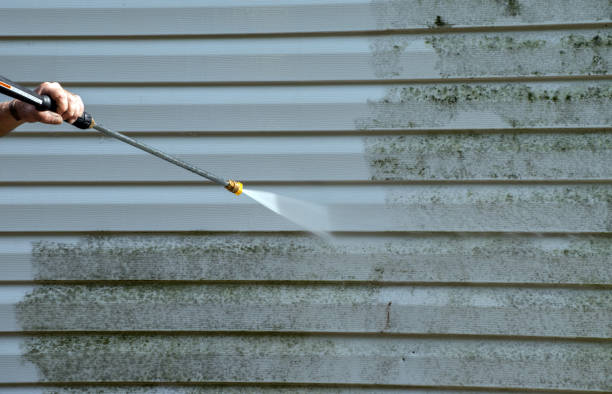 Best Gutter Cleaning  in Elmo, TX