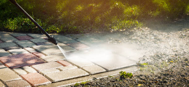 Best Dumpster Area Cleaning  in Elmo, TX