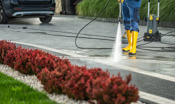 Best Driveway Pressure Washing  in Elmo, TX