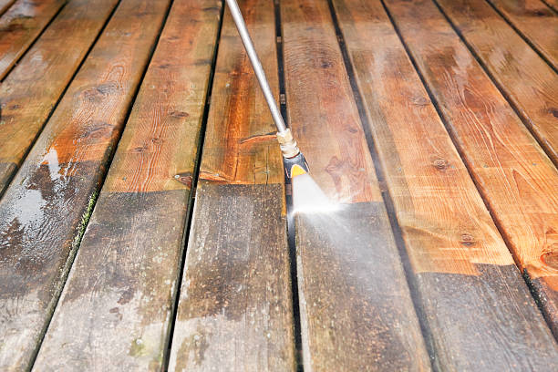 Best Fence Cleaning  in Elmo, TX